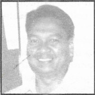 profile delfinito c. albano